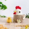Receita Galinha Amigurumi