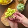 Receita Suculenta Amigurumi