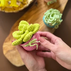 Receita Suculenta Amigurumi