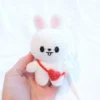 Receita Coelhinho Bts Amigurumi